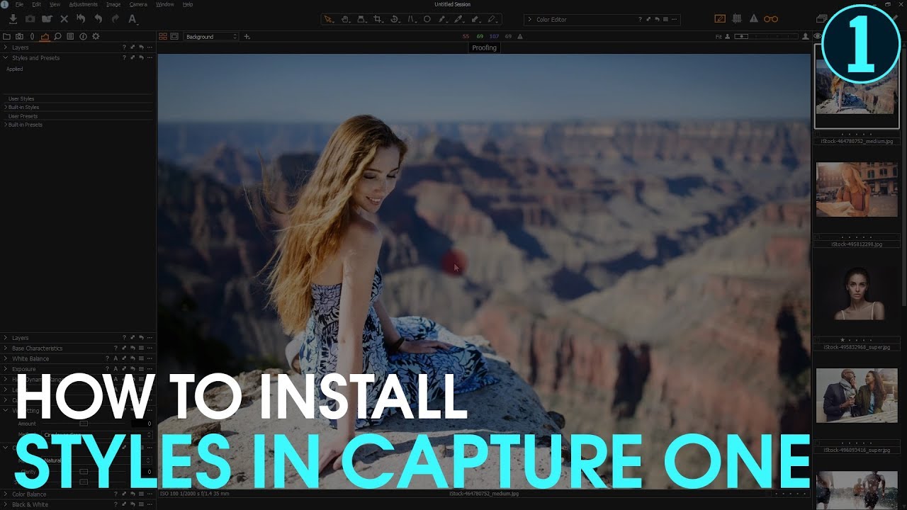 install capture one styles